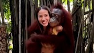 I neki muškarci bi mogli da nauče nešto od njega: Orangutan im pokazao kako se muva devojka