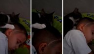 Mačak Simba svako veče liže ožiljak malom Luki na glavi