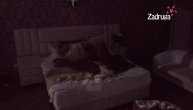 Posle Bilalove prevare Maja Marinković se uvukla kumu u krevet: Pokušala da se osveti "mladoženji"