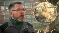 Ovari: Bitno je da se kaže da to nije životinja iz zbirke zooloških vrtova