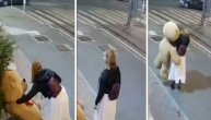 Devojka prolazila pored radnje i "maznula" džinovskog medveda