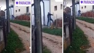 Muškarac zverski udara psa štapom, životinja zavija od bolova: Uznemirujući snimak iz Paraćina