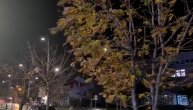 Olujni vetar se sručio na Pančevo