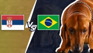 Kobijeva prognoza meča koji svi dugo čekamo: Ko pobeđuje večeras Srbija ili Brazil