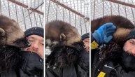 Tvor se sa vlasnikom zaigrao na snegu: Možda nisu omiljeni ljubimci ali ovaj čupko zna da voli