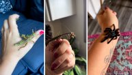 Nisu ljubimci samo kuce i mace: Ova devojka se mazi sa stonogama, paukovima i bogomoljkama