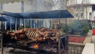 U centru Grocke okreću se volovi: Miriše na pečenje i praznike