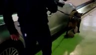 Policija uz pomoć psa za detekciju droga pronašla preko 11 kg heroina