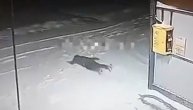 Bacio se na sneg i pravio mrtav: Najluđi pokušaj skrivanja lopova posle krađe