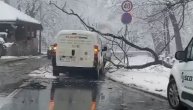 Sneg oborio drvo koje je palo na kombi u Košutnjaku