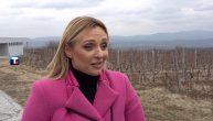 Tanasković: Broj registrovanih vinarija povećan za 58 odsto