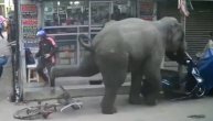 Pobesneli slon gazio sve pred sobom nasred ulice: Glava ili motor, ipak mu je život bio draži