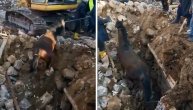 Spasioci izvukli živog konja iz ruševina 21 dan nakon razornih zemljotresa u Turskoj
