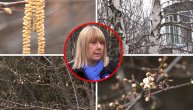 Problemi sa alergijama već kreću: Sa prvim lepim vikendom očekujemo veće emitovanje polena