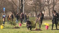 U Beogradu zasađena Maratonska šuma