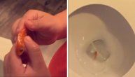 "Nemo se izgleda vraća kući": Mislili su da je ribica uginula pa su je bacili u wc šolju