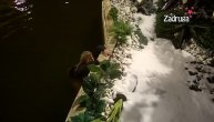 Miksi u haljini i čizmama skočila u jezero, pa zaplivala prsno: Nađa Higl bi joj pozavidela