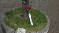 Tuga i bol: Građani već ostaljaju cveće ispred škole u kojoj se desila stravična pucnjava na Vračaru
