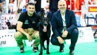 Posetili smo "PetVet Expo" manifestaciju