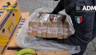 Policija zaplenila skoro 3 tone kokaina skrivene među bananama