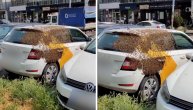 Roj pčela u Mirijevu zaposeo automobil: Vlasnik ne zna šta da radi