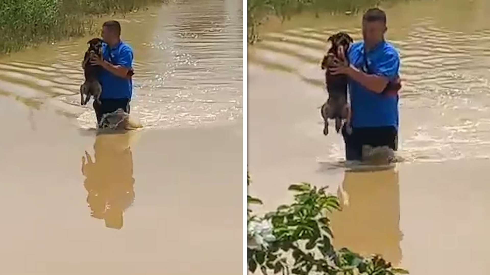 Heroj Zdravko Iz Matijevca Spasao Kucu Od Poplave Telegraf Tv