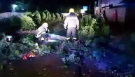 Nevreme u Vojvodini: Oborena stabla, udar groma, problemi u snabdevanju strujom