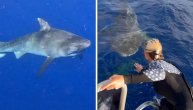 Životinja joj je "tražila" da joj pomogne: Ova hrabra devojka je izvadila udicu iz usta tigar ajkule