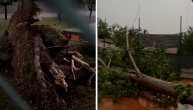 Oluja u Mačvi, vetar nosio sve pred sobom