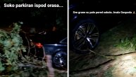 Topalko snimio dvorište nakon nevremena u Beogradu