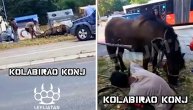Kolabirao konj ured bela dana: Tužan snimak iznemogle životinje