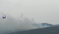 Veliki šumski požar nadomak Pirota