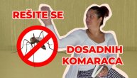 Trik za teranje komaraca - potrebna vam je samo jedna voćka
