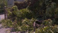 Najavljeno nevreme stiglo u Hrvatsku: U Rijeci vetar obarao stabla