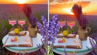 Kao da su ih stvorili sami čarobnjaci: Očaravajuća lepota polja lavande