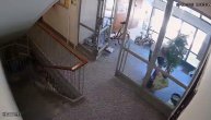 Čovek usred bela dana krade biljku u zgradi u Zemunu