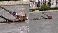 Čovek pluta na deblu posred reke: Neverovatan snimak sa Save u Beogradu