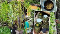 Otkrivena laboratorija droge kod Kragujevca, uhapšen muškarac