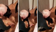 Kako je Đole brzinom munje pogodio gde je poslastica: Pas pametnica ili najbolji njuško na svetu?!
