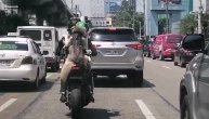 Klasična subota u Manili: Pas sa kacigom se vozi na motoru