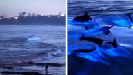 Šta priroda napravi, ni animacije ne može da iskopira: Svetleći delfini plivaju kroz talase