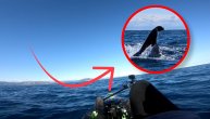 Ajkula jurila foku pa se zakucala u kajak: Susreo sa smrću i to dva puta u par minuta