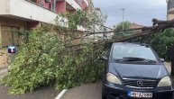 Nevreme napravilo haos u Herceg Novom: Ulice poplavljene, popadalo drveće oštetilo automobile