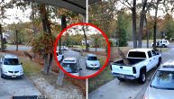 "Leteći" jelen u pokušaju: Čovek kupovao kola, pa "odneo" uspomenu za čitav život