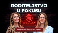 Roditeljstvo u fokusu: Kako odgajati decu bez ekrana
