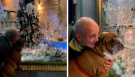 Mogao bi da ih gleda satima: Pas koji obožava jelke i ukrase