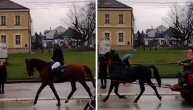 Defile konja kroz Gornji Milanovac: Scena kao iz bajke