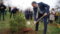 Ambasada Izraela organizovala sadnju 75 sadnica bora: Poklonila Beogradu "Šumu budućnosti"