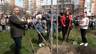 Realizovana akcija sadnje 8 stabala u školskom dvorištu OŠ "Branko Radičević" na Novom Beogradu