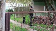 Ovako izgleda intenzivna pretraga u selu: Policija pretražuje dvorište kuće prekoputa